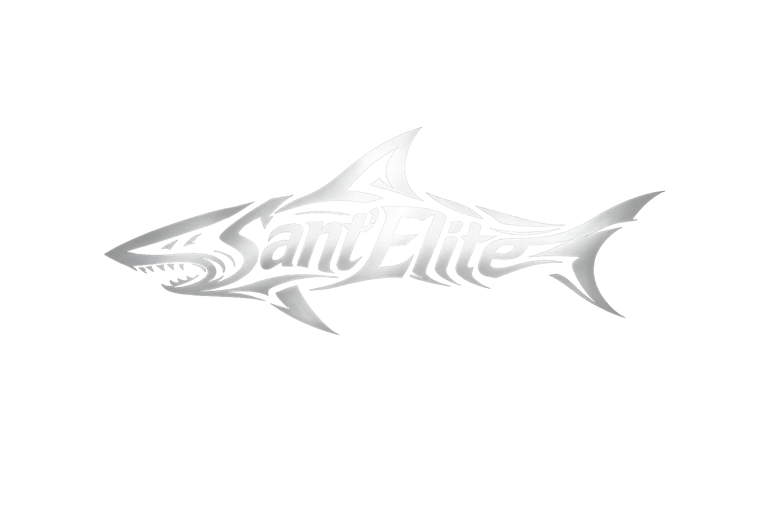Sant'Elite Fishing