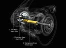 KastKing Zephyr Light Weight Spinning Fishing Reel 7+1Ball Bearings 10 kg Drag Carbon Fiber Drag for Bass Saltwater Fishing Coil