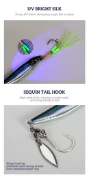 TOLU 2024 NEW 3D Printed S-shaped Fast Sinking Metal Jig Lure 40g 60g 80g Saltwater Shore Casting Fishing Lure Vertical